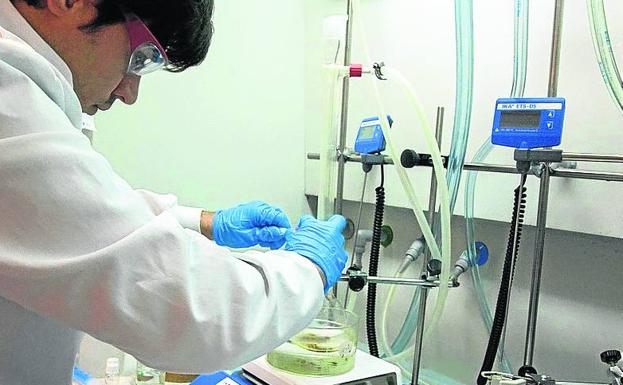 La producción científica se duplica en Euskadi en una década