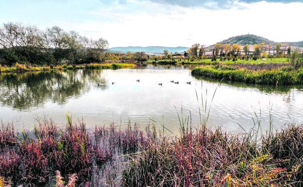 Una pasarela atravesará el lago de Olárizu en una nueva ruta desde Campo de los Palacios