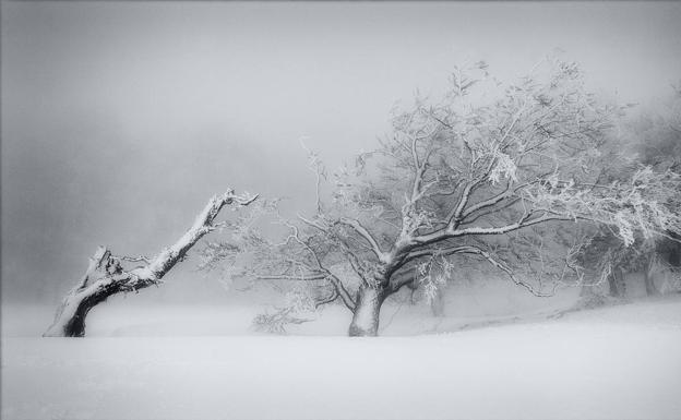 La belleza alavesa al natural