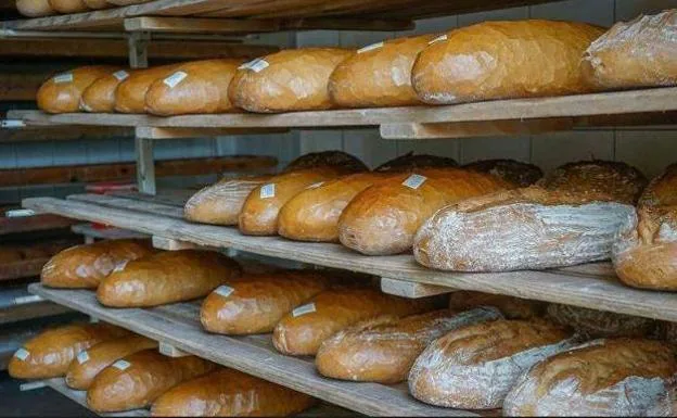 Pan con moho y otros 9 alimentos que no debes comer con moho