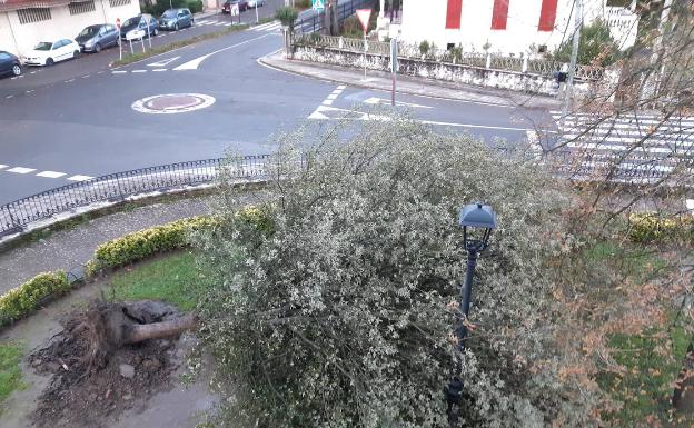 El viento deja sin electricidad a unos 50 vecinos de Artziniega durante 20 horas