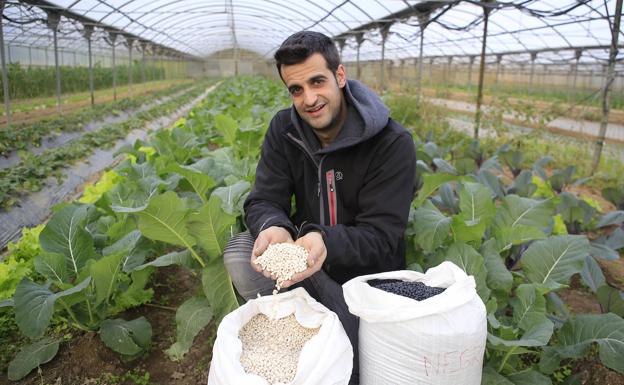 «La alubia vasca es artesanal y eso se paga»