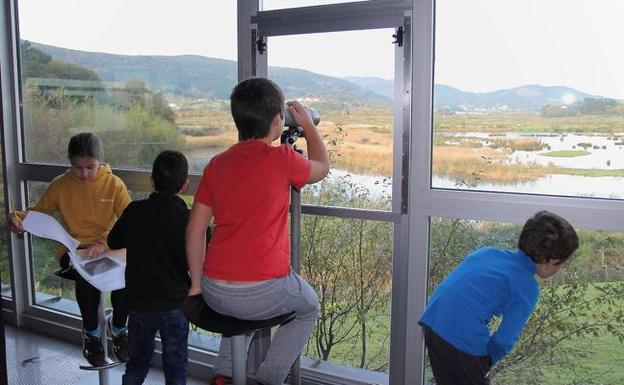 Lorategiak daukezan Urdaibaiko familiak txorientzako janlekuak jartzera animatzen dabez