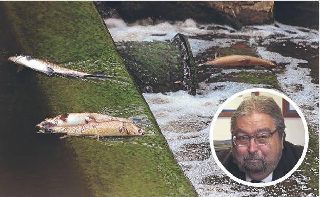 El Ararteko pide proteger a los ciudadanos que denuncien delitos ambientales