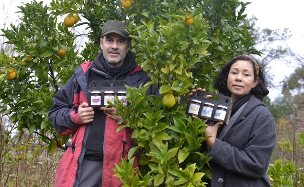 Un bosque lleno de sabor en Ekoganguren