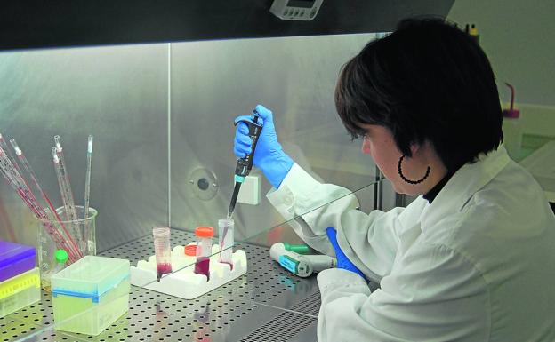 Extracto de brócoli para combatir el cáncer