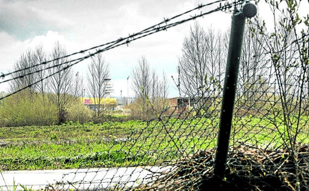 Aena renueva el vallado en Foronda para que no se cuelen corzos, zorros o jabalíes