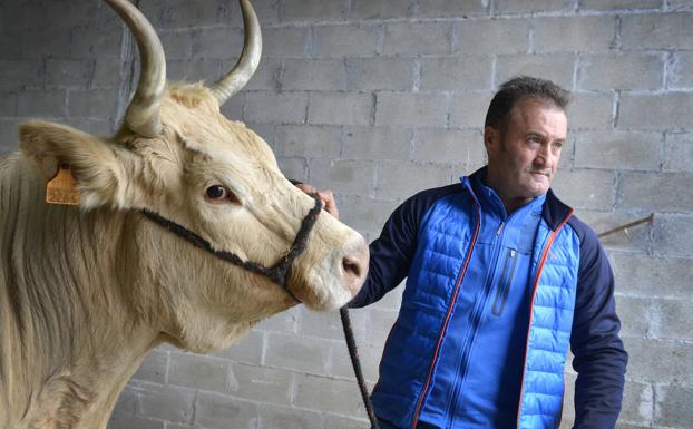 La cuadra ganadora de Jon Bikandi