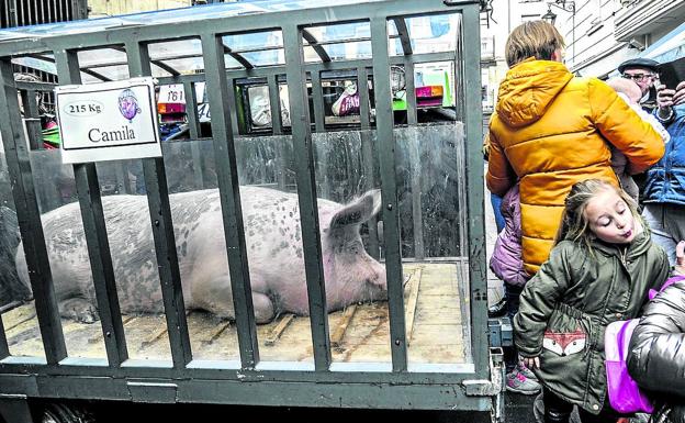 'Camila', la reina de la rifa de San Antón