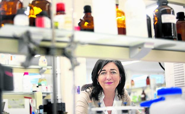 «Tener comercio de barrio y mercados cerca de casa determina nuestra salud»