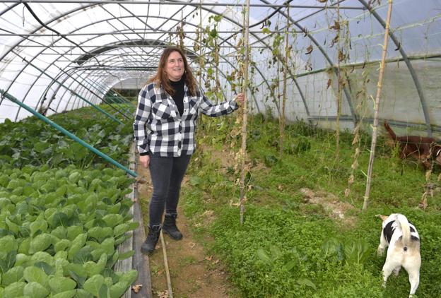 Ekosumendi: «Conseguir clientes no es complicado, conservarlos sí»