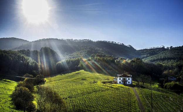 Las cinco rutas del txakoli en Bizkaia