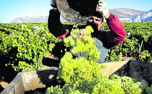 Las bodegas familiares de Rioja arremeten contra Viñedos de Álava