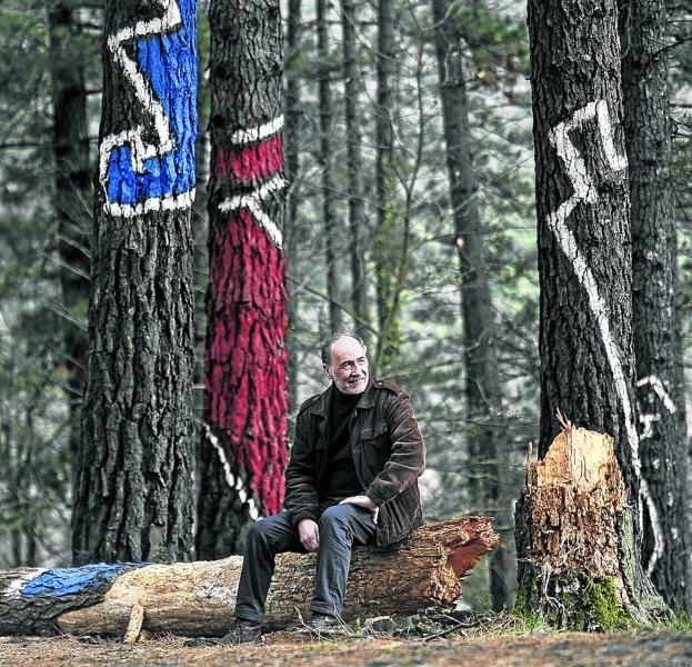 Adiós al viejo bosque