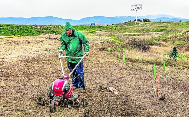 La recuperación de suelos degradados en Júndiz sumará un parque al Anillo Verde