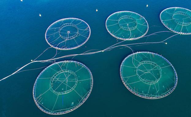 Granjas de mar contra la polución humana