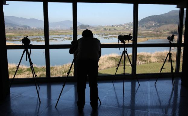 Urdaibaiko paduretako hegaztiak etxe barrutik ikusteko leihoa zabaldu dau Bird Centerrek