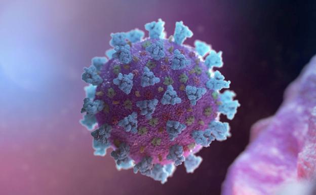 Decodifican una proteína responsable de la replicación del coronavirus