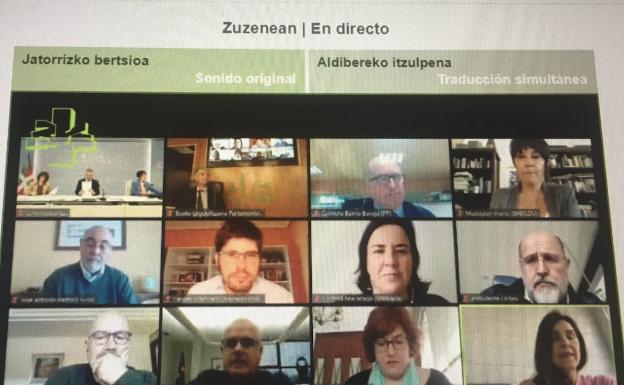 «¿Se me oye? ¿Se me oye?» Las anécdotas del pleno por videollamada