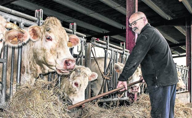 Nubarrones sobre el cultivo alavés