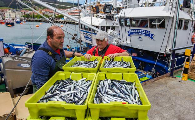 La flota del Cantábrico retrasa hasta el 20 de abril la costera de la anchoa