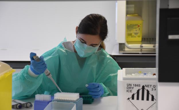 Osakidetza suma a su catálogo el test diseñado en la UPV