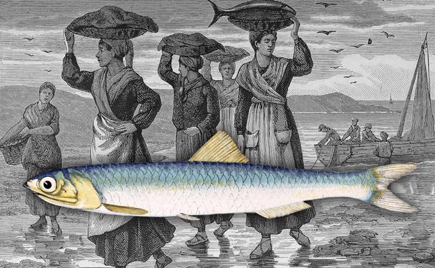 Calendario gastronómico vasco: en abril, anchoas