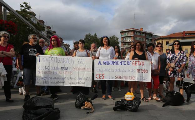 Getxo multa con 300 euros a una mujer por colocar comida a los gatos callejeros