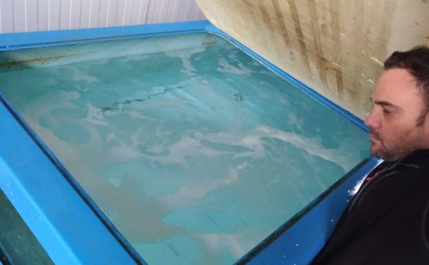 Rodaballos a 7 euros y centollos a 4: así han dado salida al pescado acumulado los mayoristas de Mercabilbao