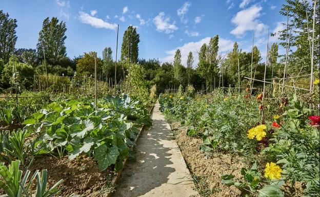 Los huertos ecológicos de Urarte, Zabalortu y Lakuakolor se abren el lunes