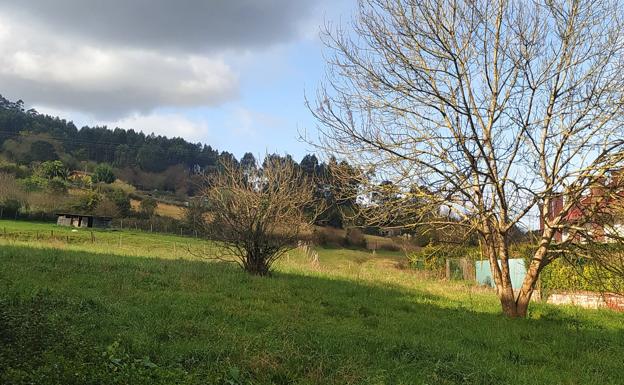 Detenidos un hombre y un menor por golpear con una barra de hierro y patear a un vecino de Urduliz