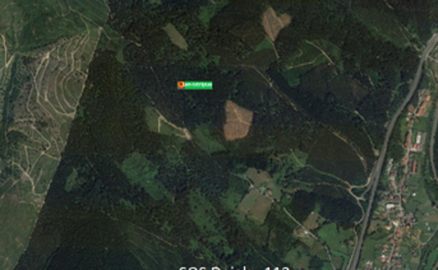 Fallece un vecino de Zeanuri de 40 años mientras talaba árboles en Álava