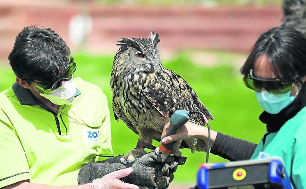Científicos vascos abren un debate sobre cómo debería ser el mundo tras la pandemia