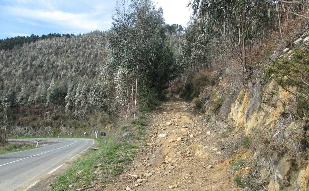 Alertan del «riesgo» por lindano en una tala cercana al vertedero de Jata, en Lemoiz