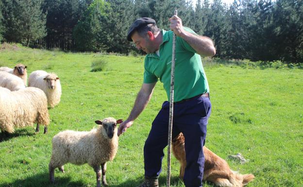 «La epidemia ha afectado de pleno a la época de corderos»