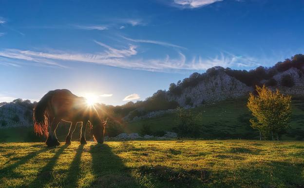 Gorbeia, Armañon eta Urkiolako parketxeak irekiko dituzte berriro asteartean