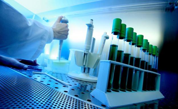 La Fundación BBVA destina 2,7 millones a 20 proyectos de investigación sobre el Covid-19