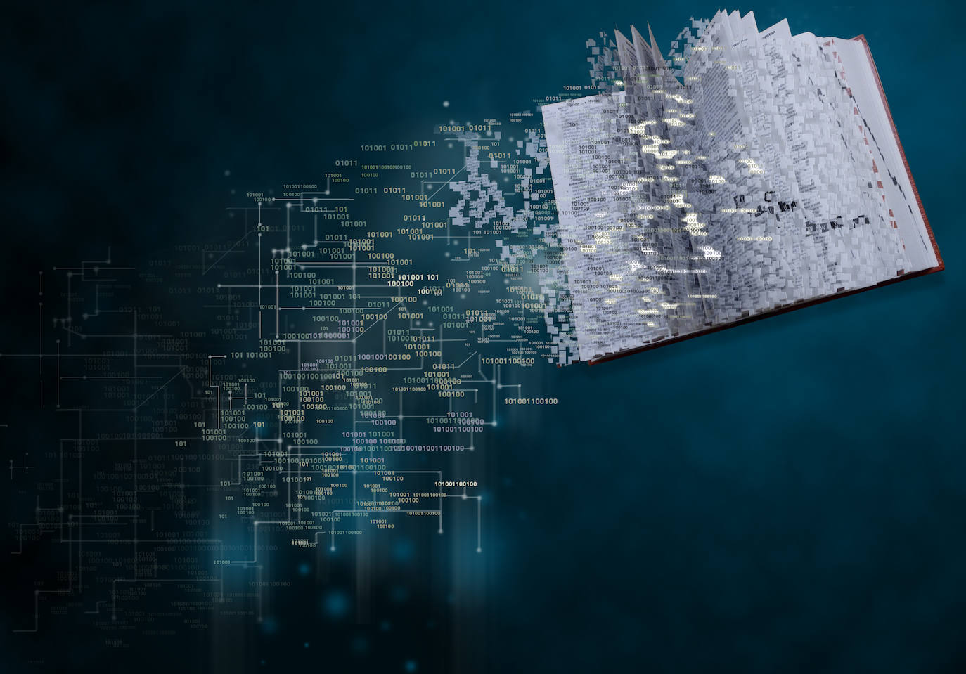 Euskaltzaindiak beste hiru liburu digitalizatu eta hiritarren esku jarri ditu, doan