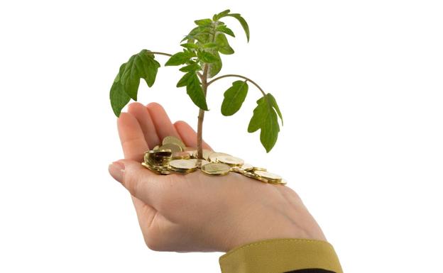 El interés por los fondos de inversión sostenible crece durante la crisis sanitaria