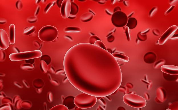 Velocidad de la sangre