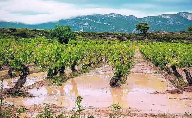 El PP pide poner en marcha el fondo de catástrofes tras la granizada en Rioja Alavesa