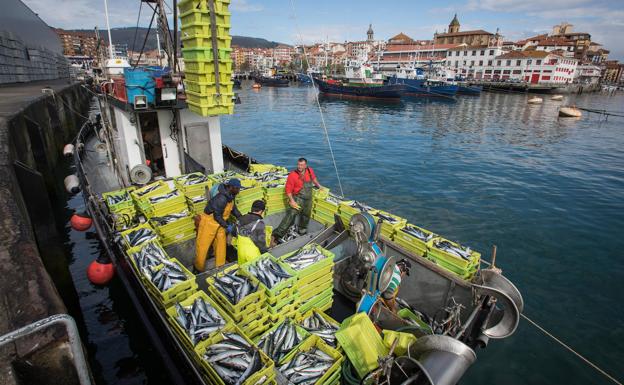 Euskal arrantzaleek hemengo kostaldean harrapatzen duten arrain kopuruarekin bertako populazioa ase daiteke