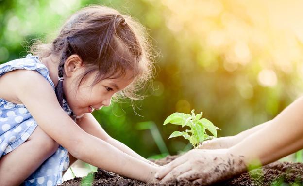 Descubre libélulas en Salburua y juega con plantas esta semana