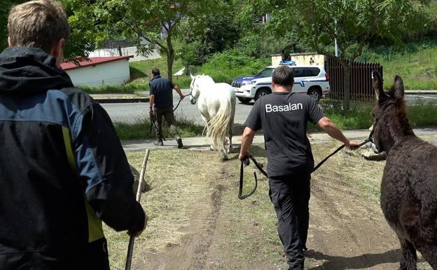 La Diputación denuncia «amenazas» de ganaderos a trabajadores forales en La Arboleda