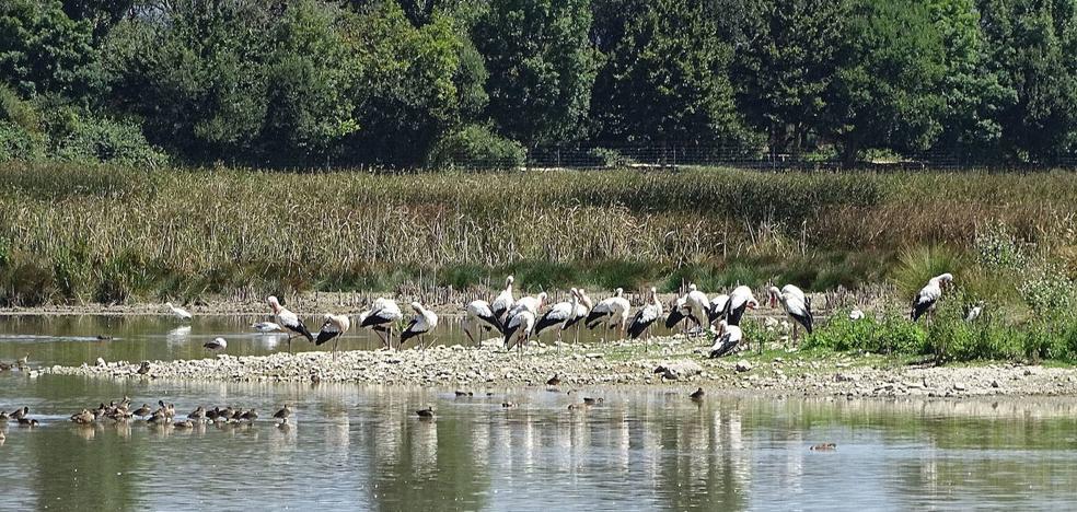 Vitoria a vista de pájaro