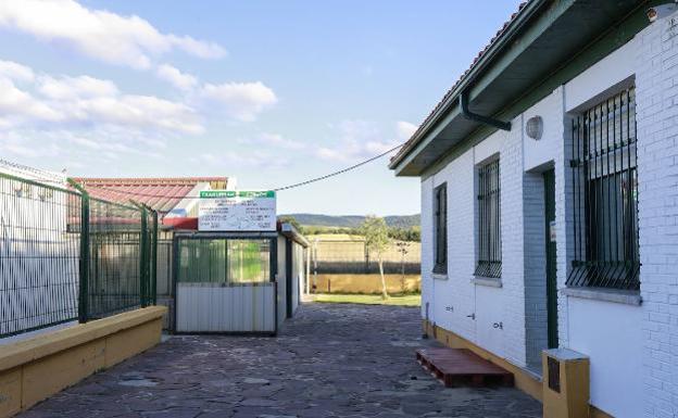 La Fiscalía abre diligencias para investigar los presuntos abusos en la perrera de Vitoria