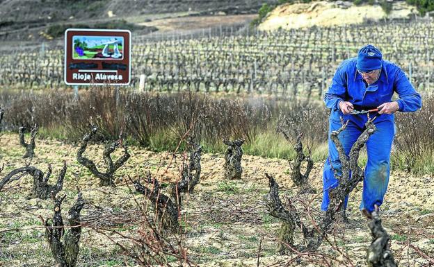 El PNV inicia el cambio legal en el Congreso que le permitirá crear una Denominación Rioja Alavesa