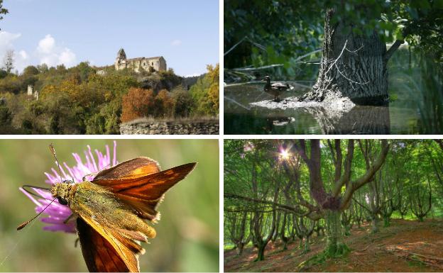 Descubre flora y arte en Valderejo y aprende a identificar aves