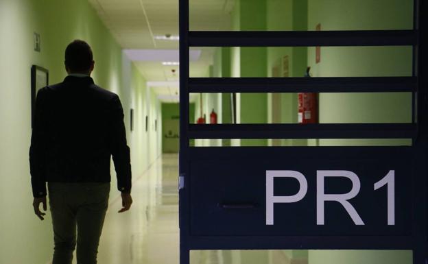 El sospechoso de los abusos sexuales en la perrera de Vitoria ingresa en prisión