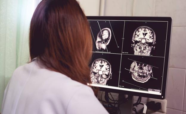 Ikerbasquek hiru euskal emakume ikertzaileren lana aintzatetsi du